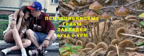 PSILOCYBIN Осташков