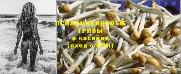 мдпв Нязепетровск