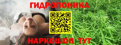 mix Кингисепп