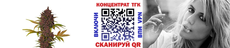 ТГК концентрат  Муравленко 