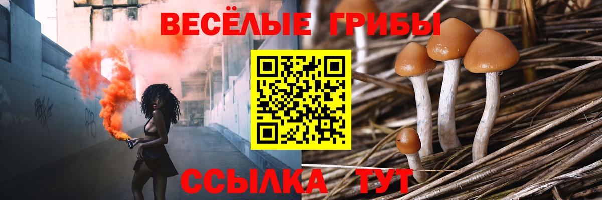Муравленко  наркотики  Вход с VPN  Галлюциногенные грибы мухоморы  Псилоцибиновые грибы прущие грибы 