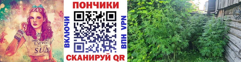 Шишки марихуана индика  как найти   Муравленко 